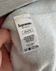 SUPREME SS19 GREEN APPLE HOODIE ‘ASH GRAY’