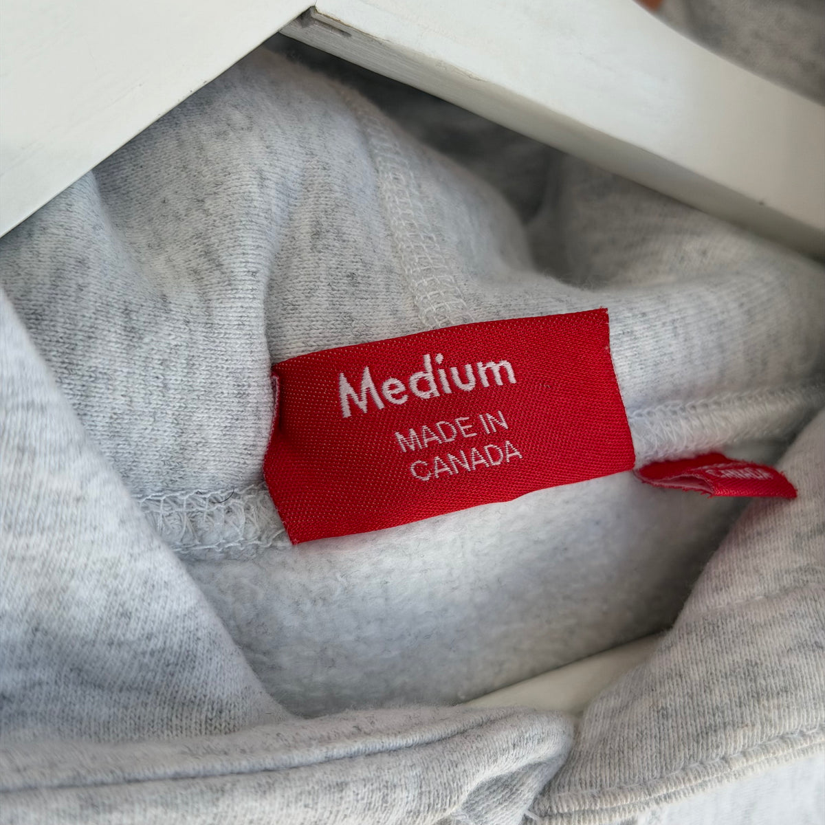 SUPREME SS19 GREEN APPLE HOODIE ‘ASH GRAY’