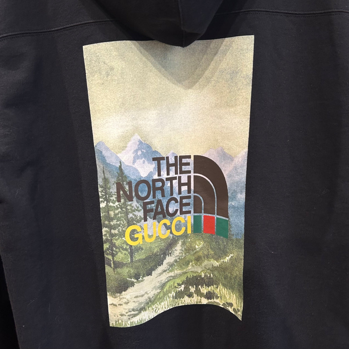 GUCCI X THE NORTH FACE FW21 PULLOVER HOODIE ‘BLACK’