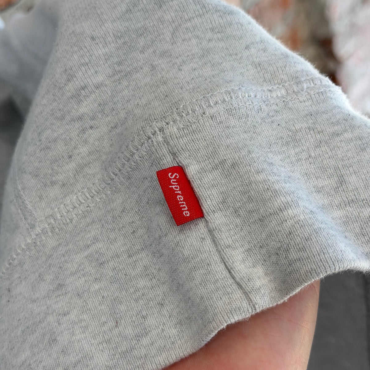 SUPREME SS19 GREEN APPLE HOODIE ‘ASH GRAY’