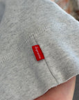 SUPREME SS19 GREEN APPLE HOODIE ‘ASH GRAY’