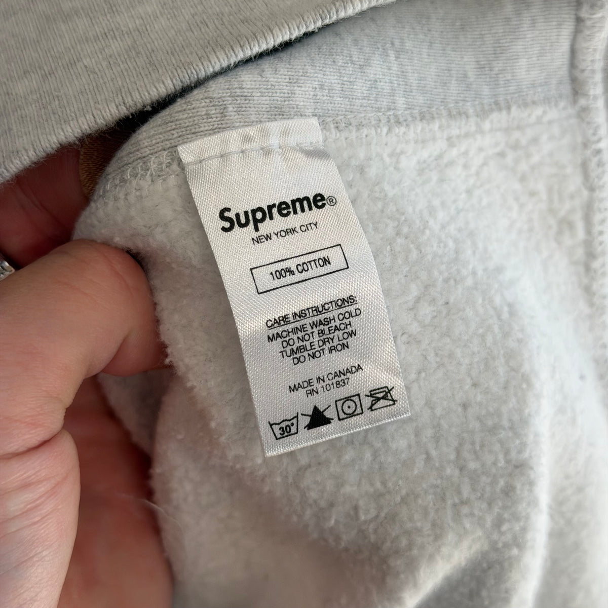 SUPREME SS19 GREEN APPLE HOODIE ‘ASH GRAY’